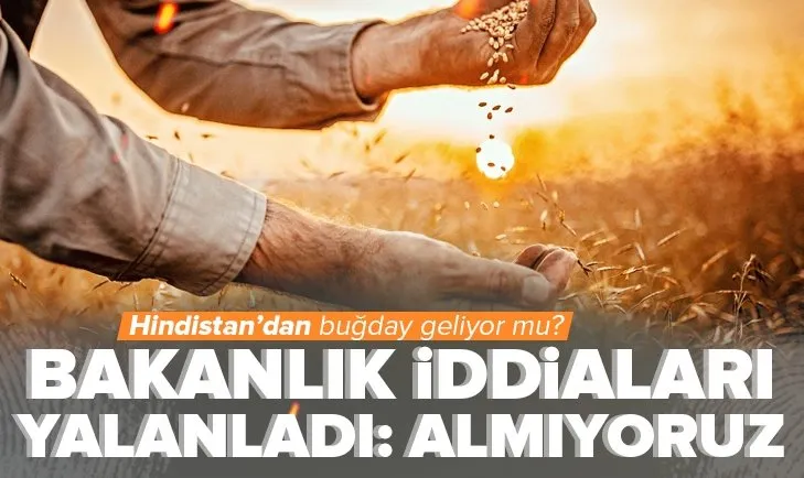Türkiye Hindistan’dan buğday ithalatı yapıyor mu? Bakanlık iddiaları yalanladı
