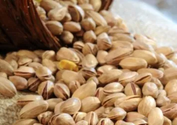 Mutluluğun doğadaki adı: Antep fıstığı