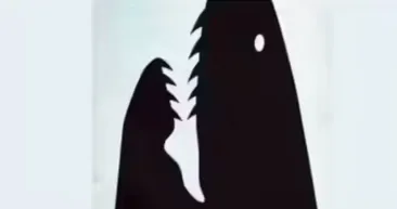 Optik illüzyon: Sezgisel mi davranıyorsunuz, stratejik mi? İlk gördüğünüz şekil kişiliğinizi ele veriyor