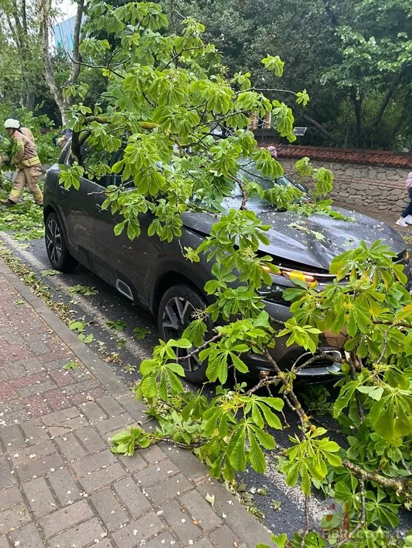 İstanbul’u sağanak ve rüzgar vurdu! Ağaçlar devrildi çatılar zarar gördü...