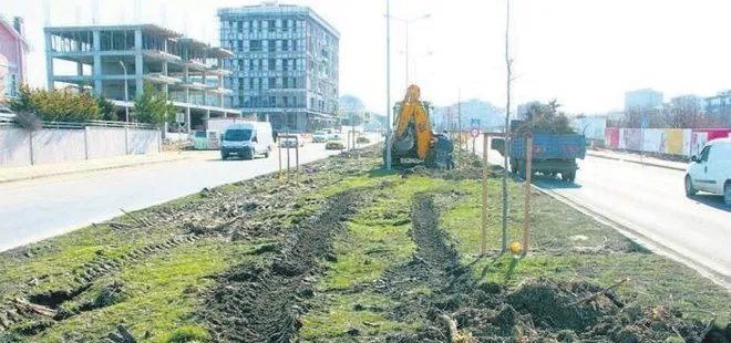 CHP’li Tekirdağ Büyükşehir Belediyesi ağaç katliamını bu sözlerle savundu: Dekora uymadı kestik