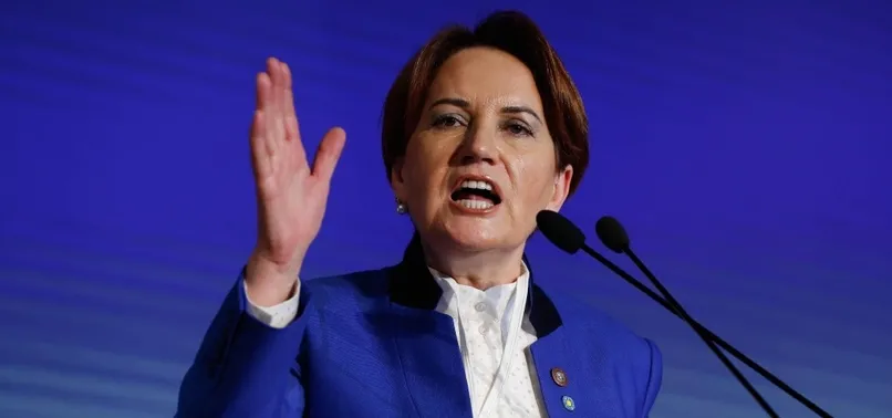 İP Genel Başkanı Akşener'den güldüren iddia