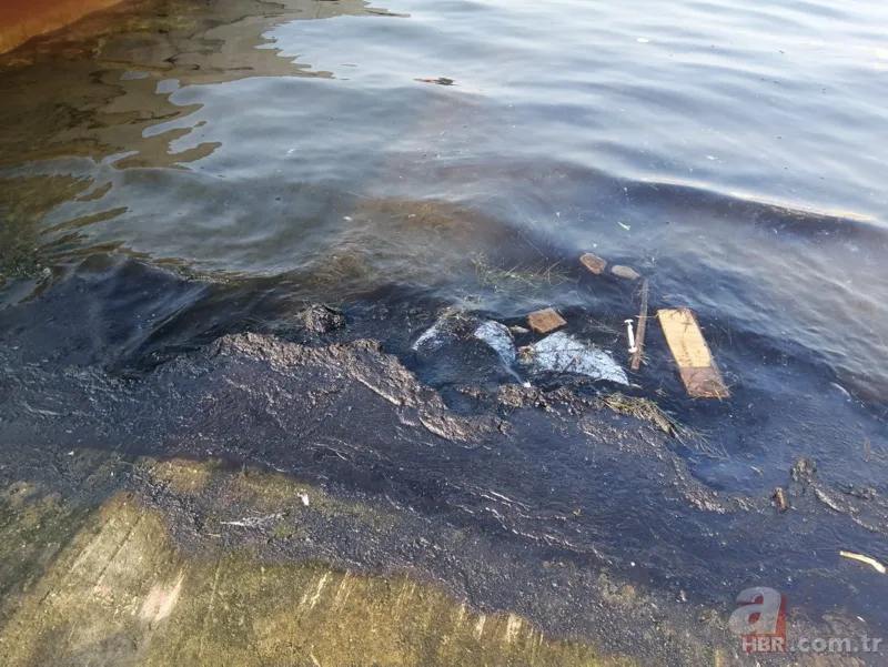 İzmir'de denize petrol türevi atıklar sızdı 2