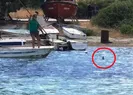 Vahşet! İşkence ederek öldürdüler