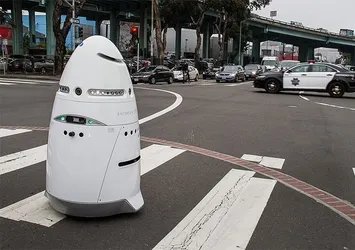 Evsizleri korkutan robot teşkilattan atıldı
