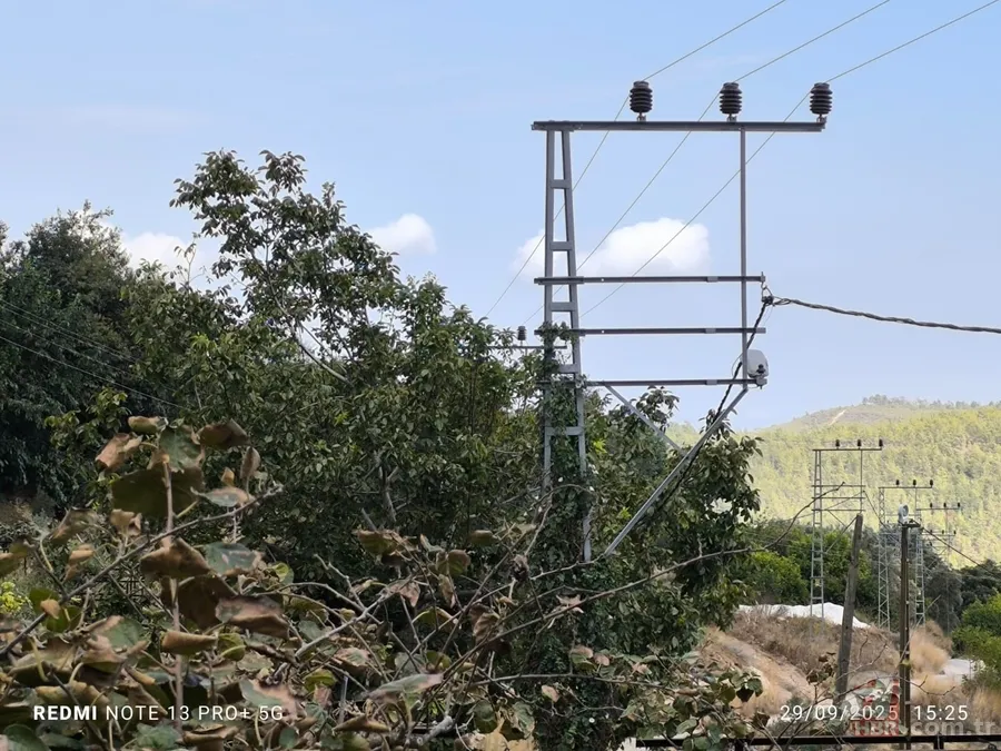 Yeni nişanlı çifti ölüm ayırdı! Önce elektrik çarptı ardından trafik kazası geçirdiler 4