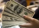 Hükümetten dolar açıklaması!