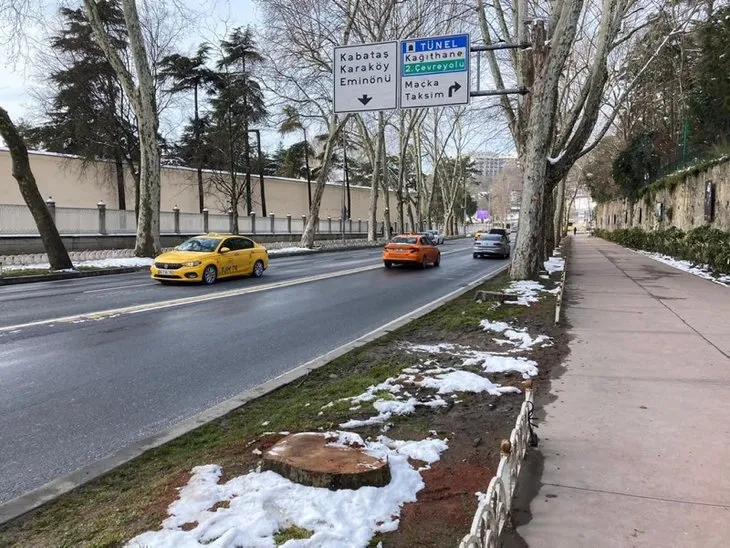 Çırağan'daki ağaç katliamının arkasında ne var? İBB İstanbul'un tarihi simgesine hançer sapladı