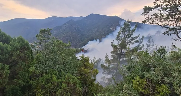 karabukte-orman-yangini-havadan-ve-karadan-mudahale-ile-alevler-kontrol-altinda-1720111474889.jpg Karabük'te orman yangını! Havadan ve karadan müdahale ile alevler kontrol altında