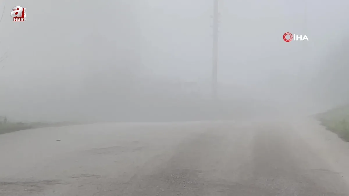 Kocaeli'de sis etkili oluyor