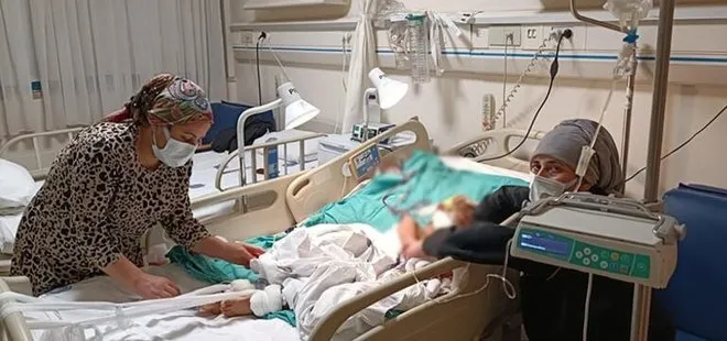 Son dakika: Pitbull vahşetinde yeni deliller ortaya çıktı! Asiye Ateş'ten haber var: İşte son sağlık durumu