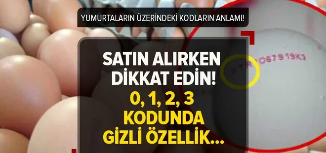 Rakamların anlamı ortaya çıktı! Yumurta alırken bu 4 koda dikkat edin! Üzerinde 0,1,2,3 yazıyorsa...
