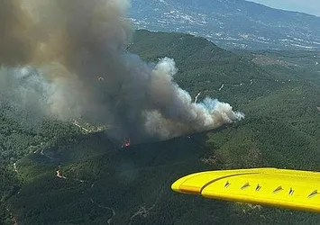İzmir'de ormanlık alanda yangın! Alevler kontrol altına alındı