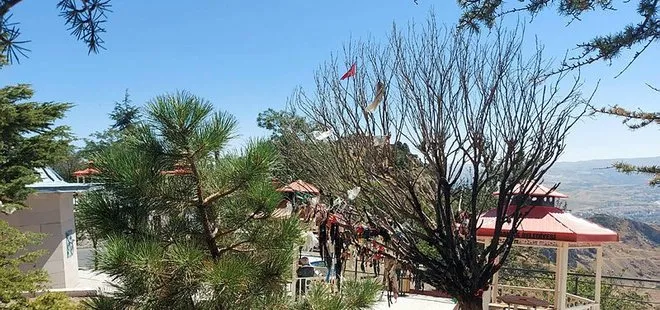 Ankara’da Hüseyin Gazi Cemevi’nin dilek ağacını yakanlara gözaltı! Cemevi dedesi Hüseyin Öz: Provokasyon olabilir
