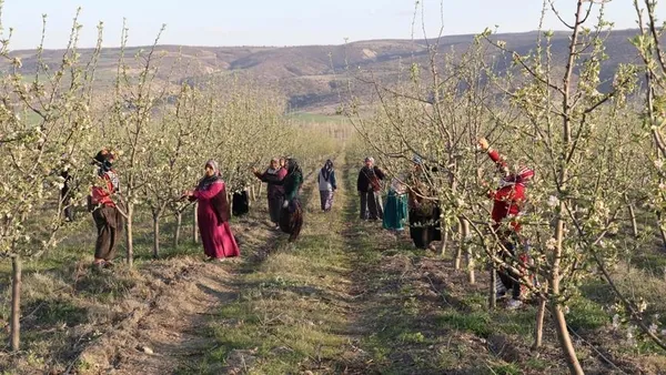 CHP medyasında hedef Anadolu insanı! Cumhuriyetçi ve demokrat olmamakla suçlayıp nefret kustular...