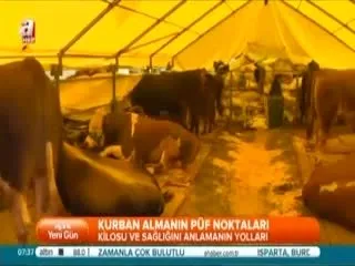 Kurbanin Kilosu Nasil Anlasilir Ahaber Video Izle