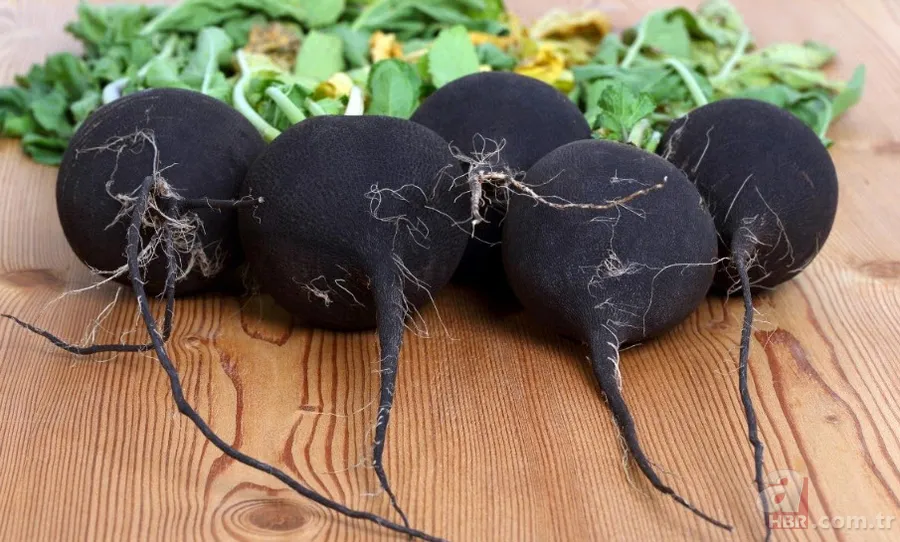 Öksürüğü yok etmenin doğal tarifi! İşte doğal öksürük şurubu... 2