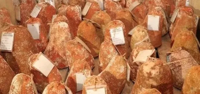 Yumurtadan 30 kat fazla protein içeriyor: Yüksek besin değerleriyle turistlerin ilgisini çekiyor