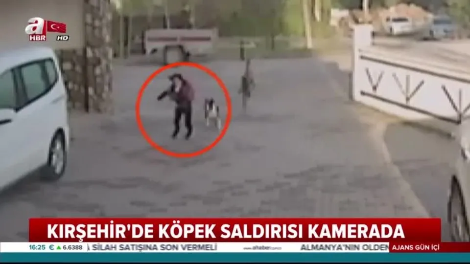 Kirsehir De Kopek Saldirisi Kamerada Ahaber Video Izle