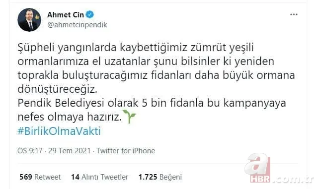 Türkiye yangına karşı tek yürek: Ünlü isimler de destek veriyor! Ormanlara ağaç dikilmesi için büyük kampanya başladı 7