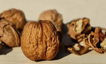 Faydaları saymakla bitmiyor! Cevizin insan sağlığına faydaları neler? Ceviz ile zayıflamak mümkün mü? Uzman isim tek tek anlattı