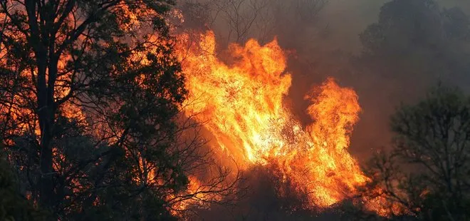 Tarım ve Orman Bakanı Bekir Pakdemirli’den flaş orman yangınları açıklaması