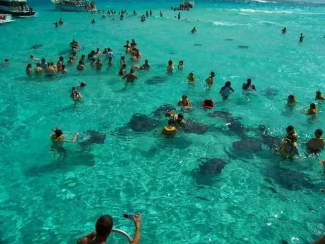 Vatozlarla yüzmek isteyenler Cayman Adaları’na akın etti