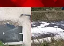 Marmara denizi ölüyor