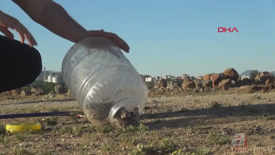 Tek ısırığı bile öldürüyor! Eve giren zehirli yılanı elleriyle yakaladı 🐍 24