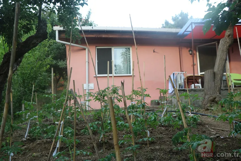 Milyonların hayalini burada yaşıyorlar! 15