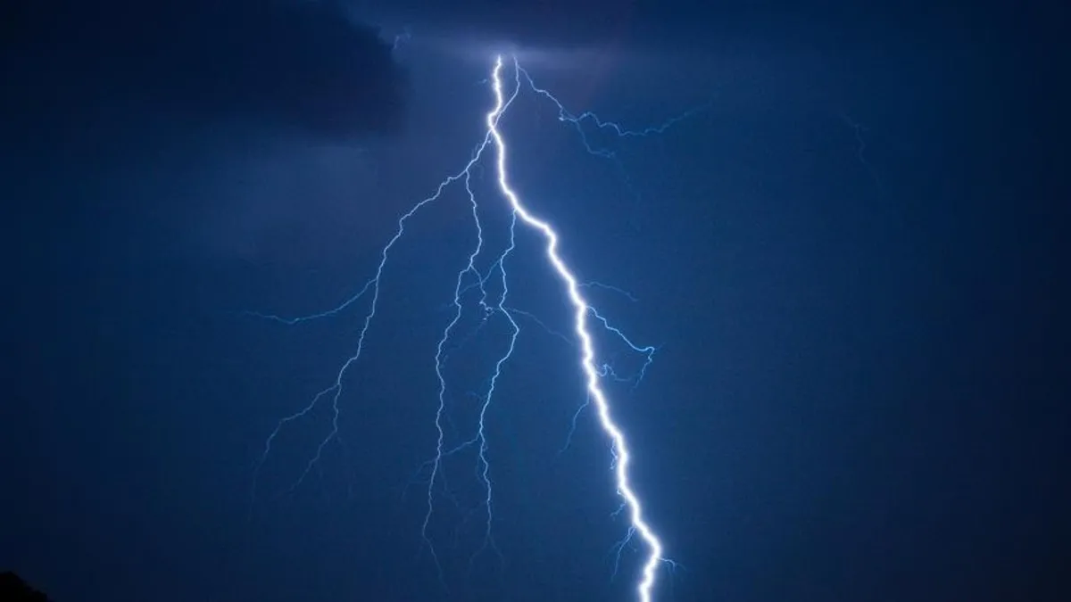 Yağmurda sığındığı ağaca yıldırım düşen esnaf hayatını kaybetti