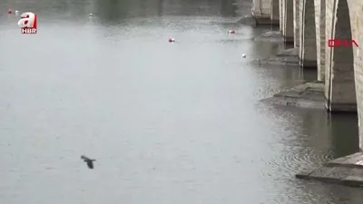 Yetersiz yağışlar Meriç’in debisini düşürdü