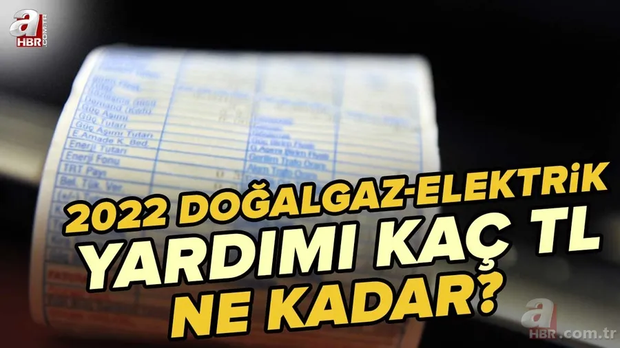 2022 Doğalgaz yardımı başvurusu nasıl yapılır? Doğalgaz-Elektrik yardımı kaç TL, ne kadar? I Doğalgaz-Elektrik Yardımı Başvuru Ekranı 1