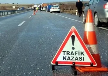 Şanlıurfa'da devrilen otomobilin sürücüsü öldü