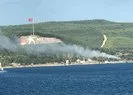 Çanakkalede orman yangını