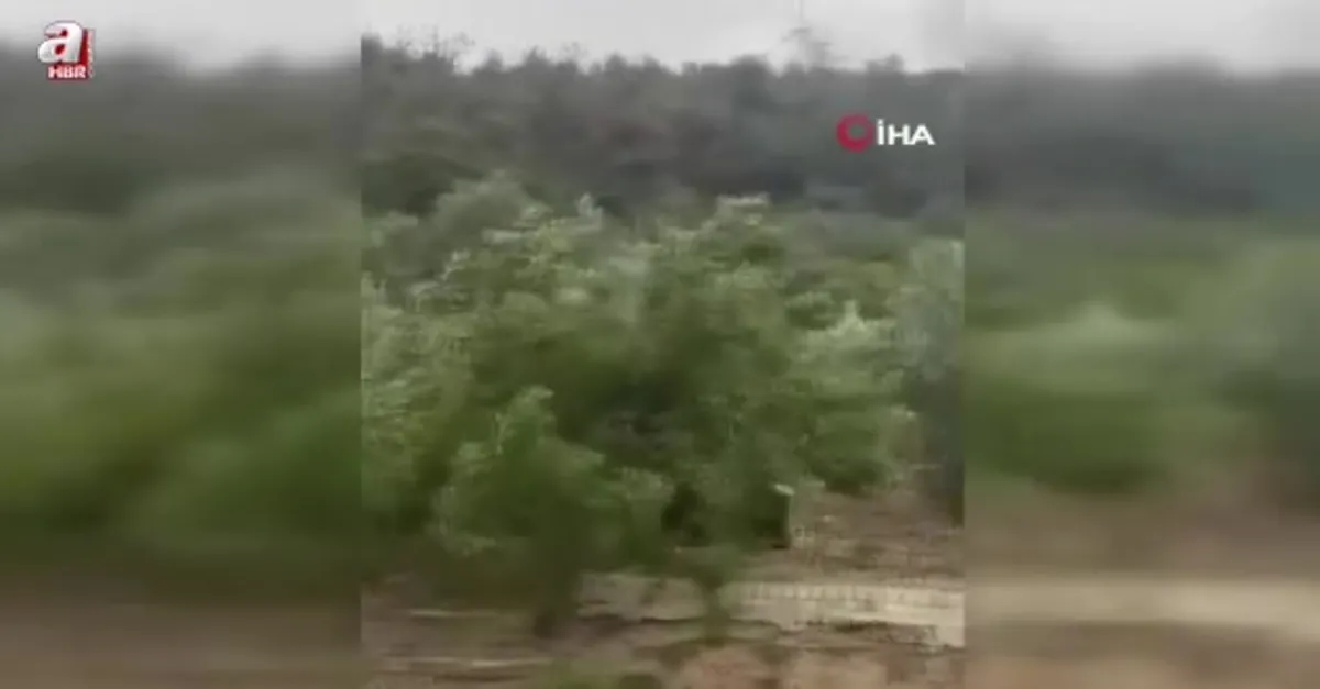 Güneş yerini yağmur ve lodosa bıraktı