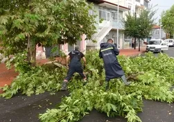 Malatya'da şiddetli fırtına! Camlar patladı ağaçlar devrildi