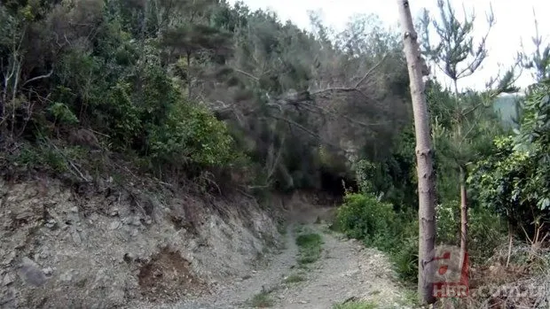 Yol yapımı sırasında bulundu! Milyonlarca yıllık… 20