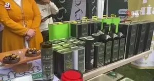 Osmaniye’de zeytin festivali
