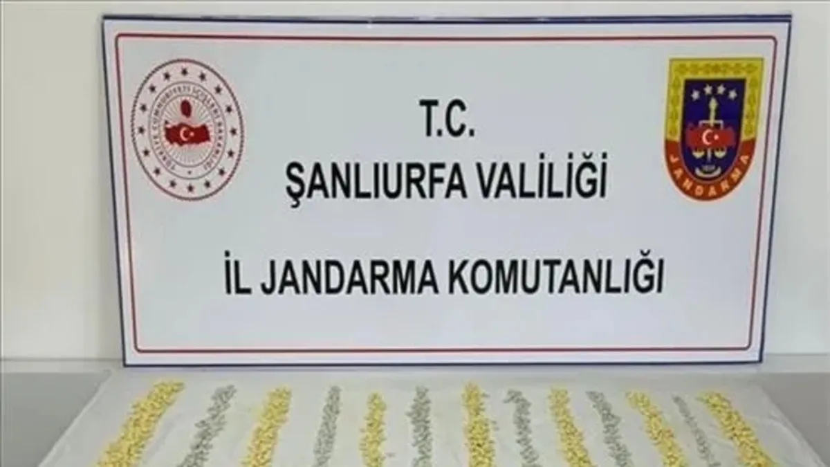 Şanlıurfa'da 2 bin 128 uyuşturucu hap ele geçirildi