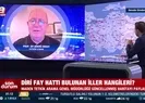 Diri fay haritası güncellendi! İki şehir...