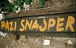 Bosna'da Müslümanlara insan avı safarisi: O ülkenin cumhurbaşkanı da katılmış 16