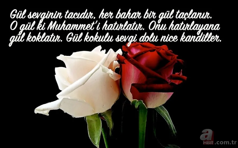 Mevlid Kandili'nde sevdiklerinize yollanacak en güzel mesajlar! Kısa ve uzun en güzel resimli Mevlid Kandili mesajları 5