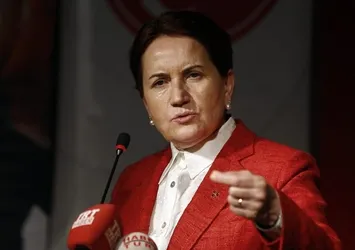 TBMM'den kritik ihraçlar