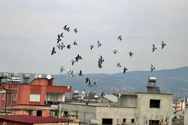 yeni-rota-belirleniyor-hedef-avrupa-1674728573731.jpg Yeni rota belirleniyor: Hedef Avrupa - 3