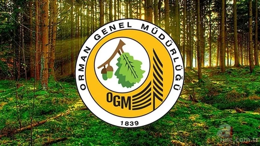 OGM’den 496 personel alımı! Başvurular başladı mı, şartları neler? 1