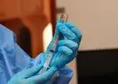 Son dakika: Koronavirüs aşılamasında 2. doz başlıyor! Başkan Erdoğan perşembe, Bahçeli ve Akşener 12 Şubatta aşı olacak