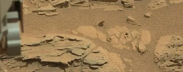 NASA tüm gerçekleri dünyadan saklıyor