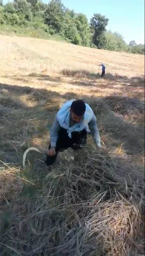 orak-tutan-eller-artik-nester-tutuyor-1632807725569.jpeg Tarladan cerrahlığa! Orak tutan eller artık neşter tutuyor - 3