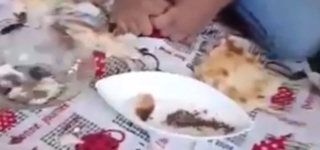 Çocuklara hayvan dışkısı yedirdiler iddiası! Diyarbakır'daki skandalda gözaltı